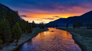 Read more about the article Top 5 National Parks in the United States<span class="rmp-archive-results-widget "><i class=" rmp-icon rmp-icon--ratings rmp-icon--star rmp-icon--full-highlight"></i><i class=" rmp-icon rmp-icon--ratings rmp-icon--star rmp-icon--full-highlight"></i><i class=" rmp-icon rmp-icon--ratings rmp-icon--star rmp-icon--full-highlight"></i><i class=" rmp-icon rmp-icon--ratings rmp-icon--star rmp-icon--full-highlight"></i><i class=" rmp-icon rmp-icon--ratings rmp-icon--star rmp-icon--full-highlight"></i> <span>5 (4)</span></span>